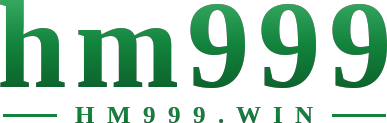 hm999 logo